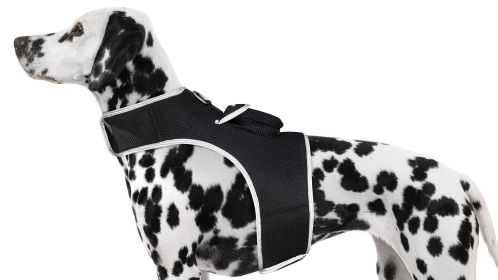Dust Resistant Pet GPS Tracking Device Rechargeable with Tracking App Size:XS