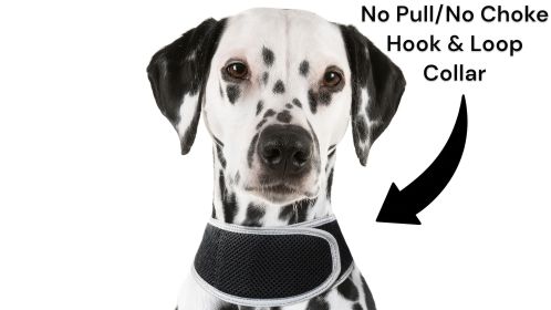 High Quality Waterproof Portable GSM Tracker for Easy GPS Pet Locating Size:S