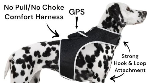Inexpensive Animal Tracking Device GPS GSM Dog Collar Mount Finder NEW Size:S