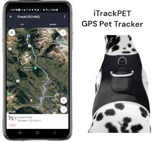 High Quality GPS Pet Tracking Collar Mounted Device Water Resilient Mini Locator Size:S