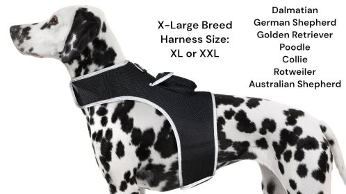 GPS Tag Pet Tracker Collar Waterproof Surveillance Tracking Device NEW Size:S