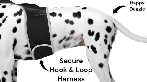 Universal Fit GSM GPS Tracking Collars Waterproof Pet Location Finder Size:M