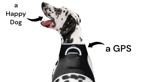 NEW Long Range Wireless GSM GPS Tracker for Pets Realtime Surveillance Size:M