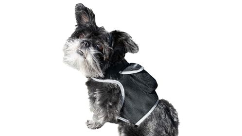 Easy Setup Realtime Waterproof GSM GPRS Pet Rechargeable GPS Tracker Size:XS