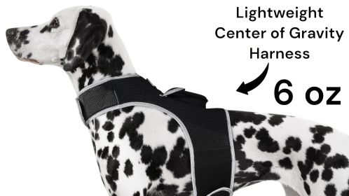 Best Pet Tracker Pet Tracker Waterproof Rechargeable GSM GPS Pet Location Size:XS