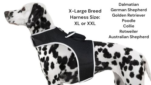 Effective GPS Dog Tracking Collar Mount Waterproof Device Rechargeable Size:XS