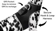 Dependable Best GPS Pet Tracker Rechargeable Tracking Device - Pet Tracker Size:XS