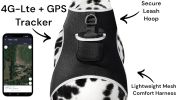 Dependable GSM GPS Tracking Device Waterproof Pet Surveillance System Size:XS
