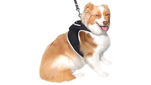 High Accuracy Waterproof GPS Tracker for Dog Collar Mini Surveillance Size:S