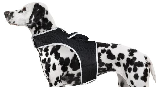 Easy Setup GSM GPRS Realtime Pet Tracker Waterproof Tracking System Size:XXL