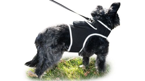 Movment Triggered Mini GPS Cell Phone Pet Tracking Rechargeable Device Size:XXL