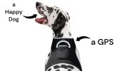 NEW Long Range Wireless GSM GPS Tracker for Pets Realtime Surveillance Size:XXL