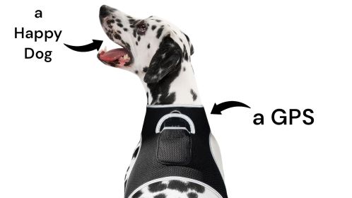 NEW Long Range Wireless GSM GPS Tracker for Pets Realtime Surveillance Size:XXL