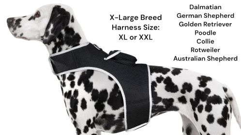 Rechargeable Pocket GPS Dog Tracking Collar Device Realtime Pet Finder Size:L