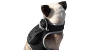 NEW GSM GPS Mini Collar Waterproof Realtime Tracker - Your Dog Safety Size:M