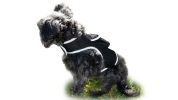 Secure Pets Safety with Realtime Rechargeable GSM GPS Mini Pet Tracker Size:M