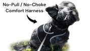 Dependable Realtime Tracking GSM GPS for Dog Collar Mount Pet Locator Size:XS
