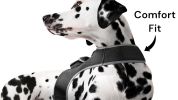 Mini Realtime GSM GPS Dog Tracker Rechargeable Pet Finder w/ SIM Slot Size:M