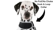 Affordable Waterproof Realtime Mini GPS GSM Dog Tracking Portable NEW Size:XS