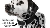 NEW Wireless Tracking GPS for Dog System Waterproof Pocket Pet Tracker Size:M