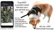 Mobile Realtime Tracking Waterproof Mini GSM GPS Pet At Home Locator Size:M