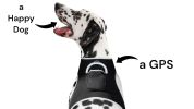 Best Pet Tracker Pet Tracker Waterproof Rechargeable GSM GPS Pet Location Size:XS