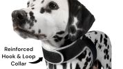 Dependable Pocket Pet Cat Dog GPS Tracker Portable Locator Waterproof Size:XL