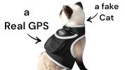 NEW Long Range Wireless GSM GPS Tracker for Pets Realtime Surveillance Size:XXL