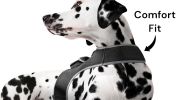 Dependable GSM GPS Tracking Device Waterproof Pet Surveillance System Size:XS