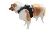 Dogs Cats Realtime Pocket Waterproof GPS Animal Tracking Tool Locator Size:XL