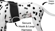 Movment Triggered Mini GPS Cell Phone Pet Tracking Rechargeable Device Size:XXL