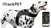 NEW Pet Tracker GPS GSM Pet Finder Hassle-free Tracking Tool Dog Tracker Size:XXL