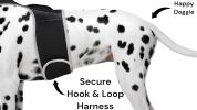 GeoFence Capable Mini Dog GPS Tracking Device Pet Location Finder NEW Size:XS