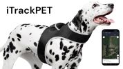 Dependable Best GPS Pet Tracker Rechargeable Tracking Device - Pet Tracker Size:XS